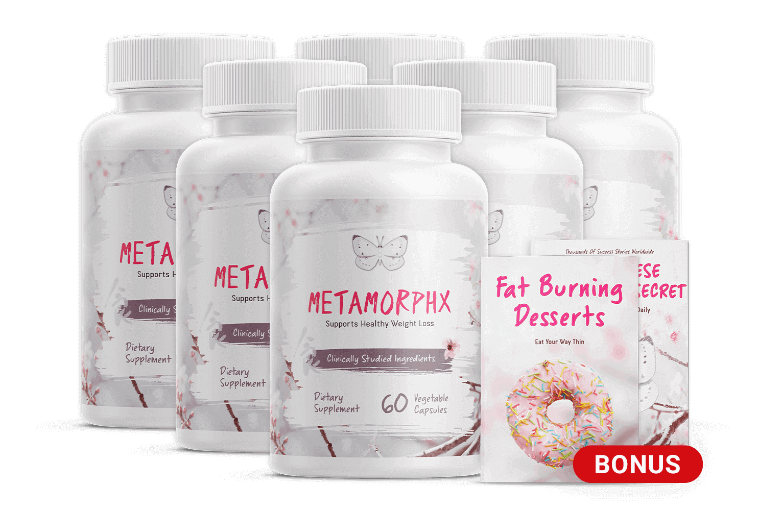 MetaMorphX